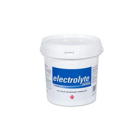 FM ITALIA Electrolyte Horse 3 kg. - 