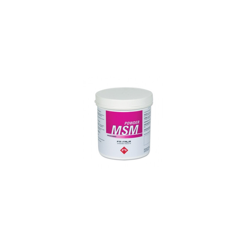 FM ITALIA Msm Powder 600 gr.
