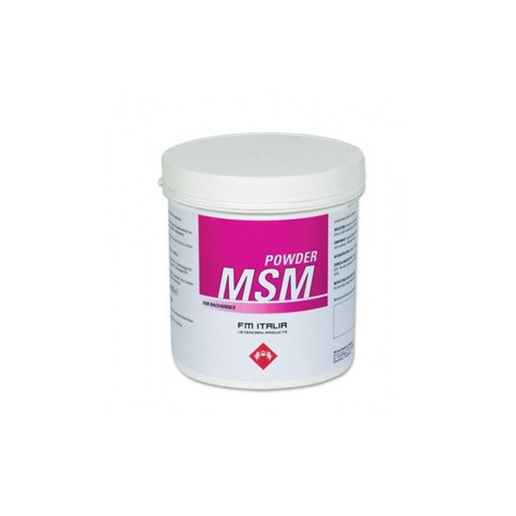 FM ITALIA Msm Pulver 600 gr.