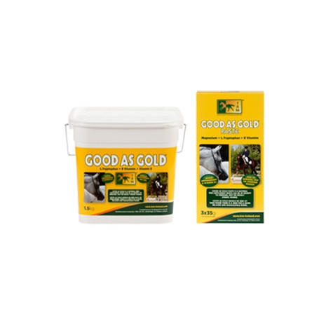 TRM Good As Gold Pasta 3 Spritzen von 35 gr