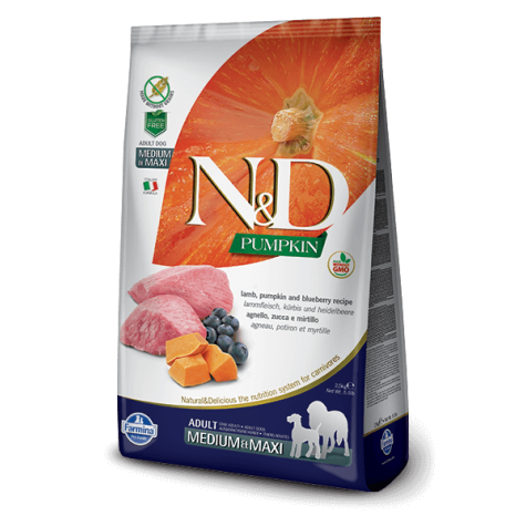 FARMINA N&D PUMPKIN Erwachsene mittelgroße Maxi-Lammkürbis und Heidelbeere 12 kg