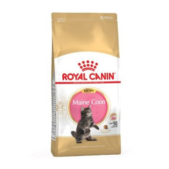 ROYAL CANIN Kitten Maine Coon 2 kg. - 