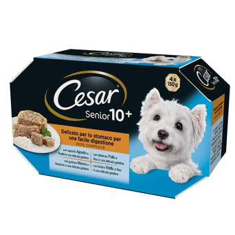 CESAR Delights of the Day Senior 10+ Multipack Selection in Jelly 400 gr.
