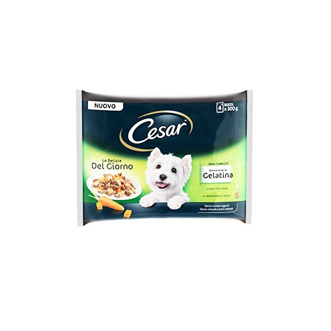 CESAR Delizie del Giorno Multipack Selezione in Gelatina 4 bustine da 100 gr. - 