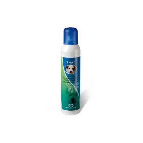 INGENYA Deo Talkum Spray 250 ml.