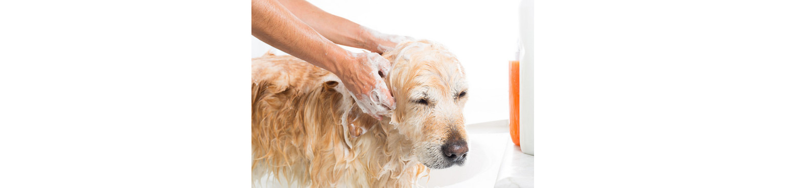 SHAMPOO, BALSAMO E LOZIONI per Cani Delicata cura e igiene