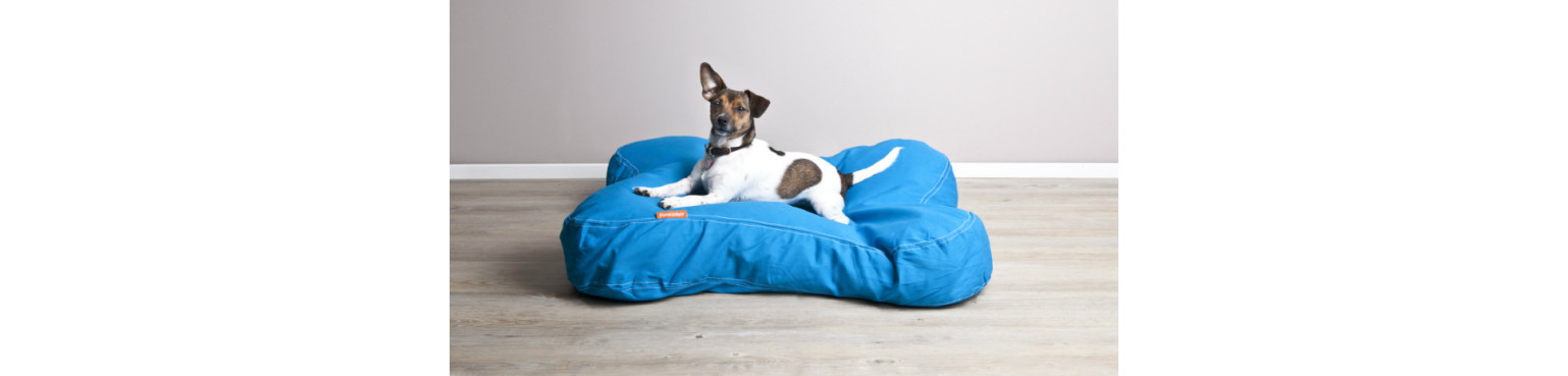 Acquista Cucce, Cuscini, LETTINI per Cani