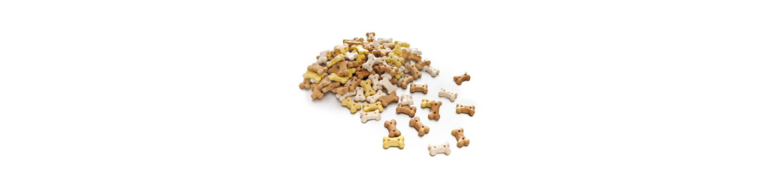 Acquista SNACK E MASTICABILI BISCOTTI per Cani