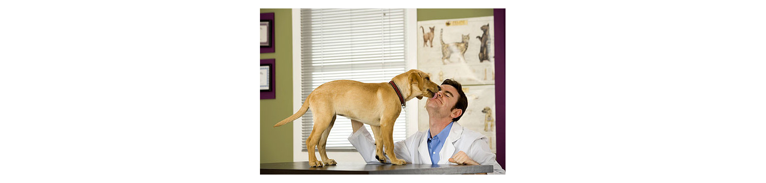 Farmacia di fiducia per VARIE cani Medicina | Parafarmacipet