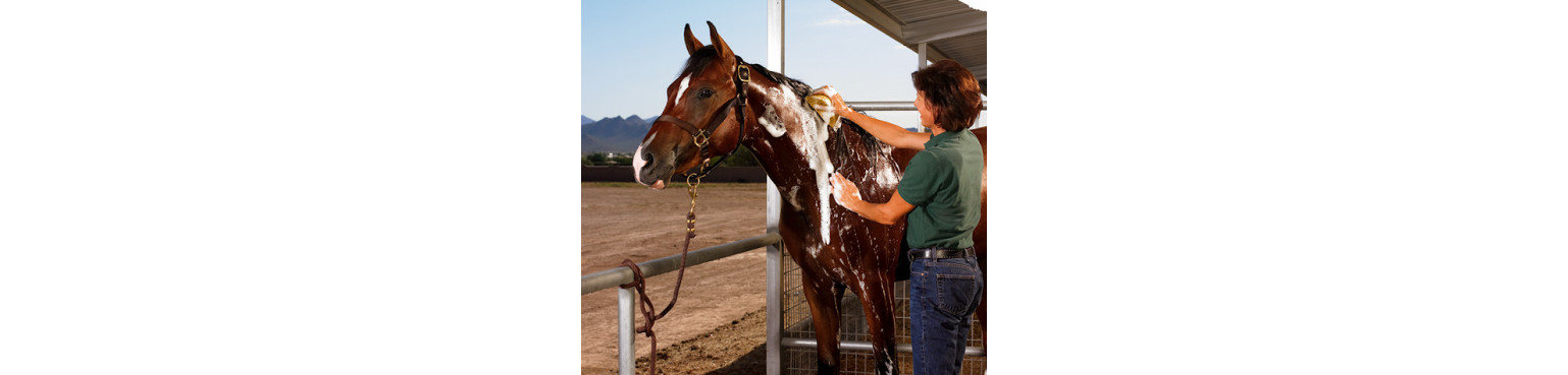 Buy CARE AND HYGIENE products for Horses